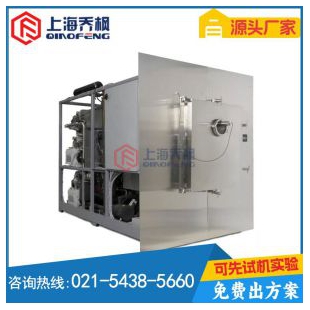 硅油原位冻干机（水冷）（GLZ药品级别）