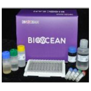Bioocean Elisa 试剂盒--小鼠