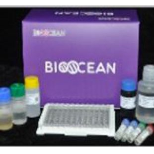 B Elisa 试剂盒--人iooceanElisa试剂盒