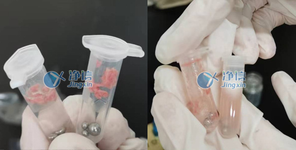 多样品组织研磨仪对肺组织研磨操作实验方法|上海净信