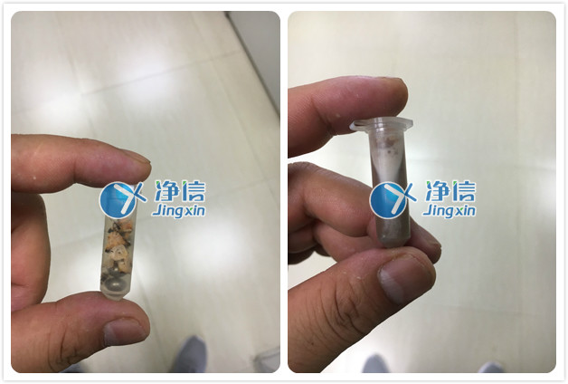 上海净信多样品组织研磨仪Tissuelyser-24研磨前后对比图.jpg