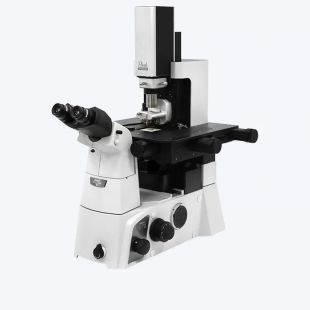 Park NX12  用于分析化学的通用型原子力显微镜
