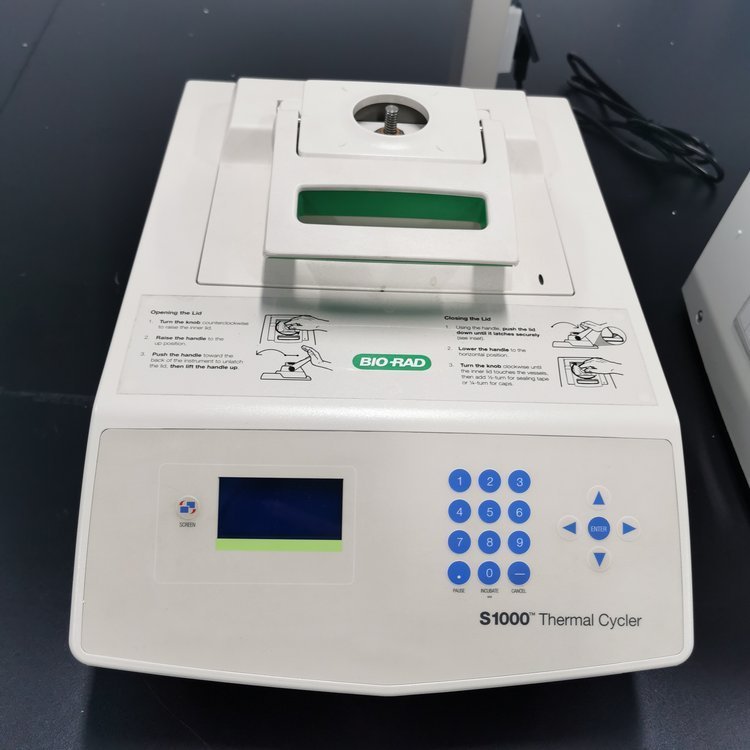 二手伯乐梯度PCR仪T100/C1000/S1000现货可租