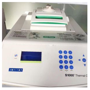 美国伯乐 BIO-RAD S1000 梯度PCR仪