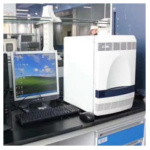 美国ABI 7500实时荧光定量PCR