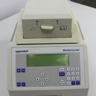 德国eppendorf 艾本德5331 PCR仪
