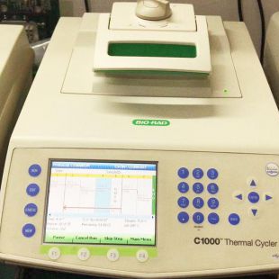 Bio-Rad PCR仪维修