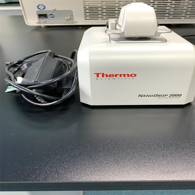 二手赛默飞NanoDrop 2000超微量分光光度计 进口超微量现货