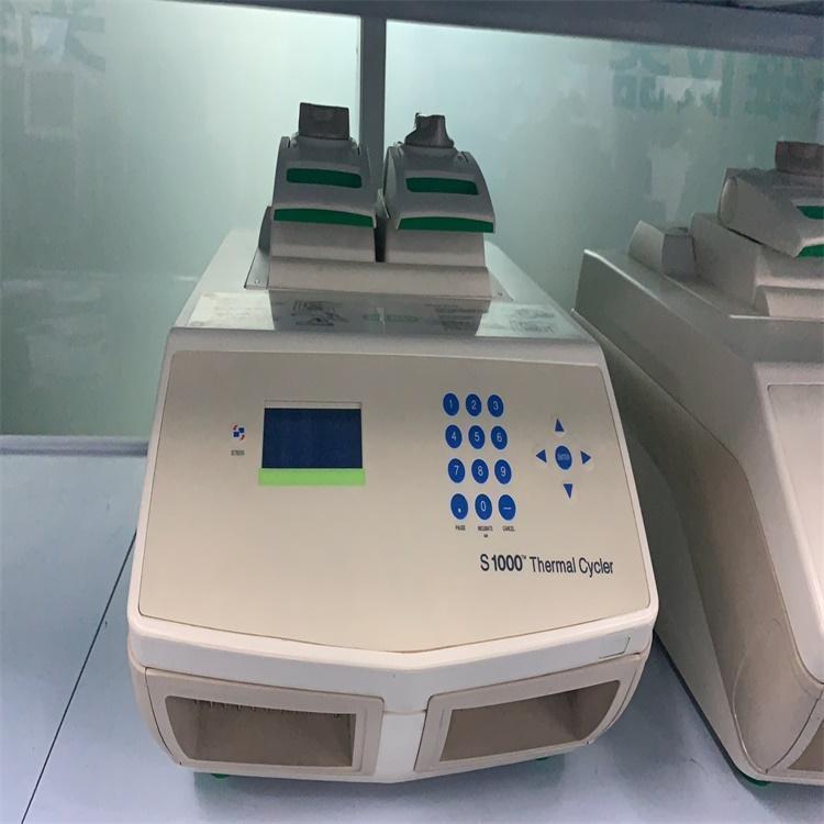 美国BIORAD/伯乐进口C1000/S1000梯度普通PCR仪