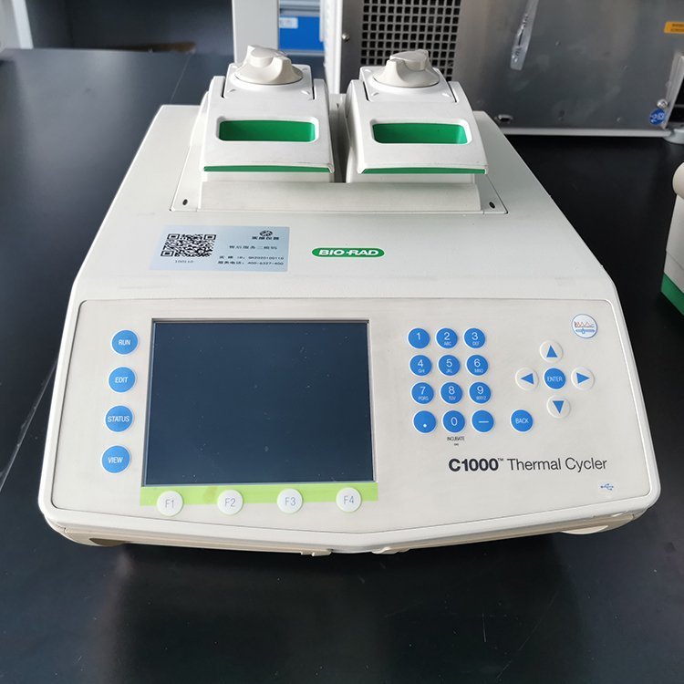 二手梯度PCR仪Bio-rad伯乐C1000 双头双模块现货