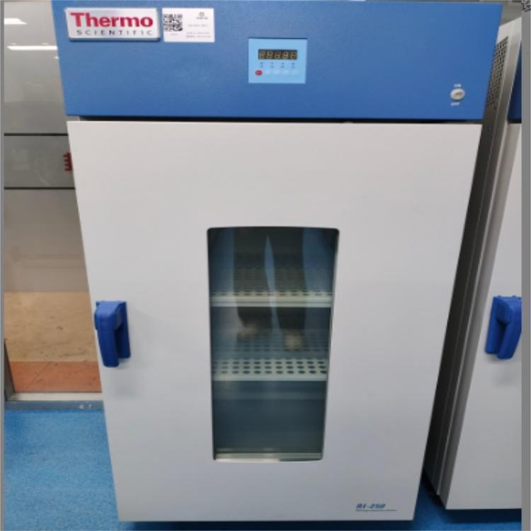 二手 Thermo 低温培养箱RI250CN 生物培养箱