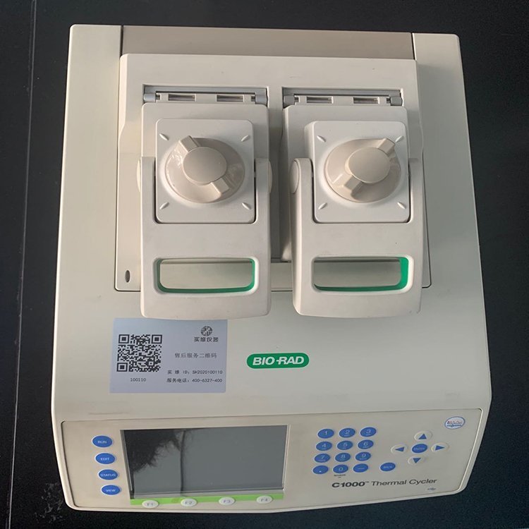 二手梯度PCR仪Bio-rad伯乐C1000 双头双模块现货