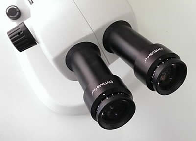 如何正确安装体视显微镜 - 调整焦距