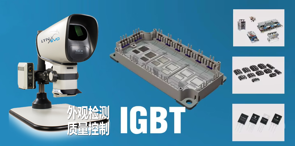 igbt-banner.jpg