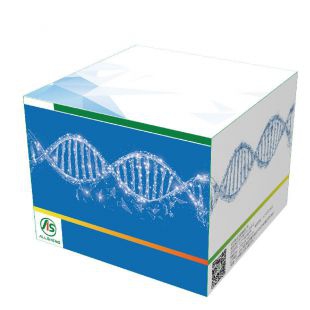 浙江奥盛  双链DNA（dsDNA）宽范围定量分析试剂盒