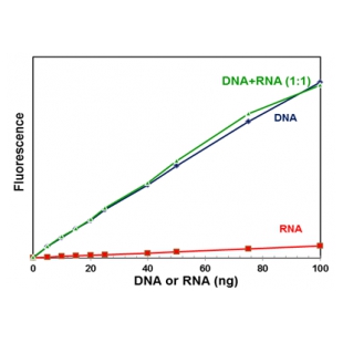 浙江奥盛  双链DNA（dsDNA）宽范围定量分析试剂盒