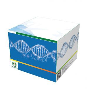 浙江奥盛   恒温荧光法 虾肝肠胞虫核酸检测试剂盒
