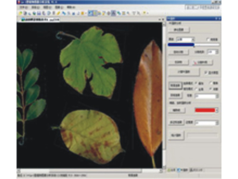 植物图像分析系统.jpg