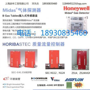HoribaSTEC  SEC-N100系列N112数字式质量流量控制器
