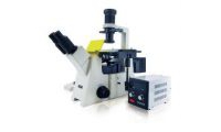 天津工业生物技术所四通道全内反射超分辨荧光显微镜招标