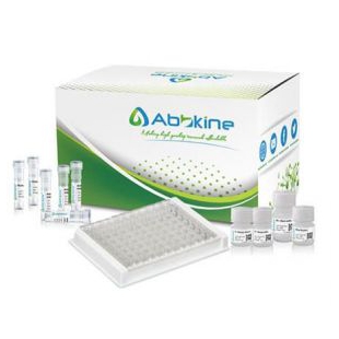 LinKine™ AbFluor™ 555 偶联试剂盒