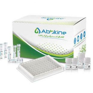 LinKine™ Cy3 偶联试剂盒