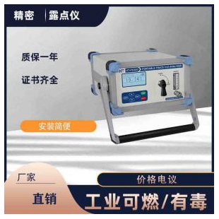 LDP-ZC-60压缩空气湿度分析仪