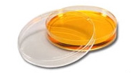培养皿/Petri dishes