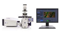 中科中山药物创新研究院激光共聚焦显微镜招标