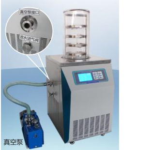 上海德洋意邦冷冻干燥机/冻干机LGJ-12普通型