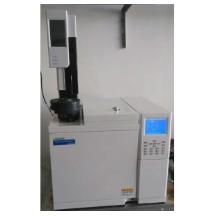 <em>天然气分析</em>专用气相色谱仪GC3900
