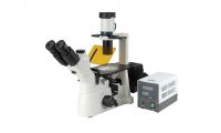 预算303.6万 青岛大学采购倒置荧光显微镜