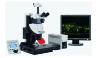 预算420万元 天津中医药大学采购三维荧光显微成像分析系统