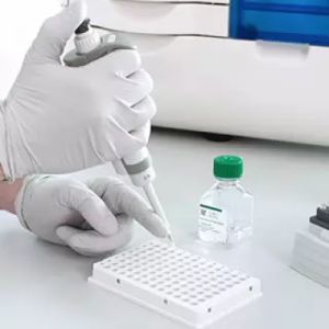 质粒 DNA 分析试剂盒，500 个样品
