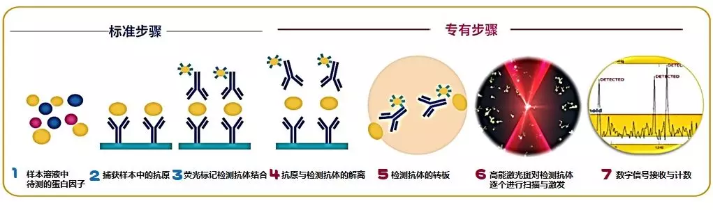 图 2：默克 SMCxPRO™ 单分子免疫检测原理.jpg