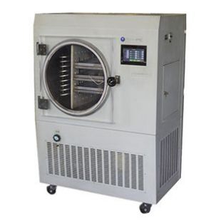 宁波新芝普通型电加热原位冷冻干燥机/冻干机scientz-30ND