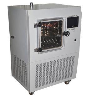 宁波新芝普通型硅油原位冷冻干燥机/冻干机scientz-20F