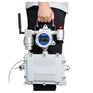 东日瀛能 移动式区域气体检测仪SK/MIC-600-GAS-L