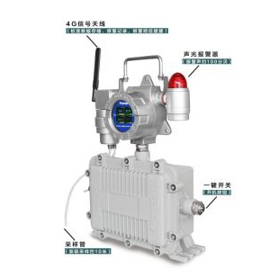 东日瀛能 移动式区域气体检测仪SK/MIC-600-GAS-L