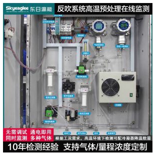 东日瀛能 工业型氢氧在线监测系统  支持定制 