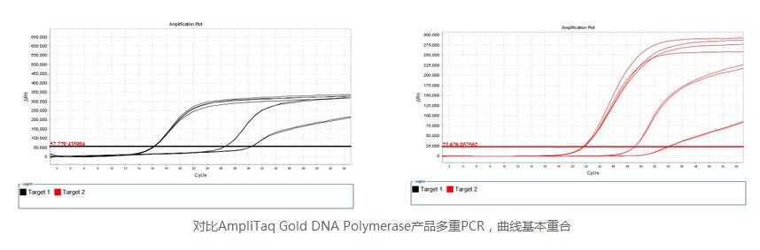 Golden Taq DNA 聚合酶.jpg