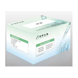 上海同科一步法荧光定量耐热反转录PCR试剂盒