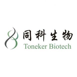 上海同科生物RT-PCR技术服务