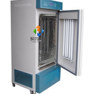 智能型小型恒温恒湿箱 HWS-350BC