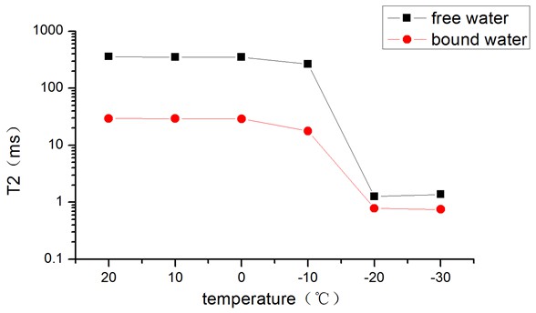 低场核磁共振T1/T2弛豫时间与成像技术在耐寒性植物中的研究