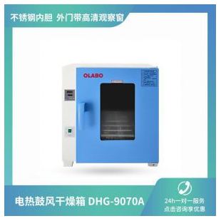 欧莱博 电热鼓风干燥箱DHG-9970A 不锈钢内胆 外门带高清观察窗