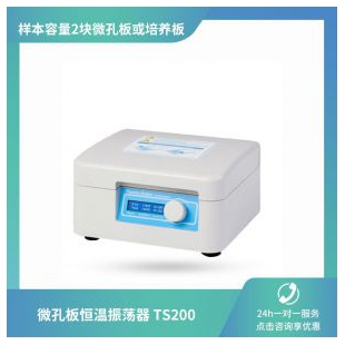 杭州瑞城TS200微孔板恒温振荡器（两块板加热振荡）