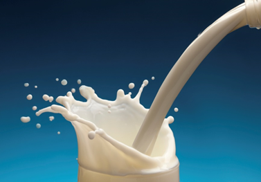 LUMiSizer®分散体系分析仪在牛奶稳定性分析中的应用