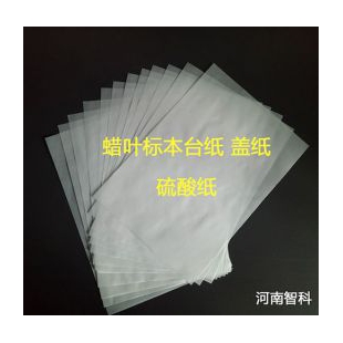 蜡叶标本盖纸 硫酸纸 智科植保标本设备