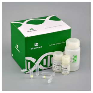 CommaXP™口腔拭子基因组DNA提取试剂盒